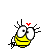 irul