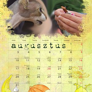 Augusztusi naptár