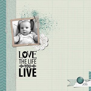 Love the life- you live