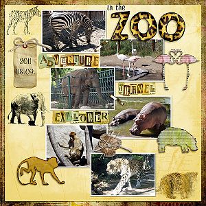 in_the_zoo