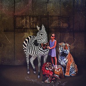 circus_animals