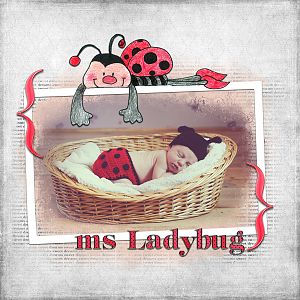 Ms Ladybug