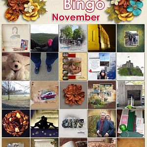 Bingo_november-24