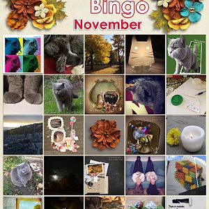 November bingo_SG