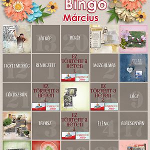márciusi bingo