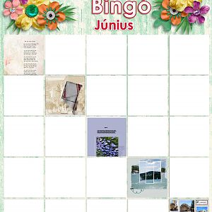 Júniusi bingó