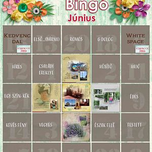 junius 5-s bingo