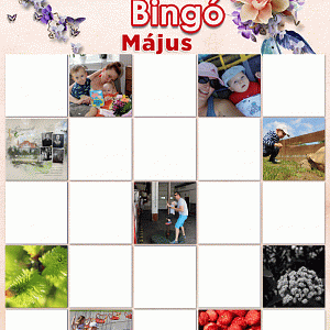 Bingo 9-es május
