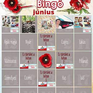 Júniusi bingo