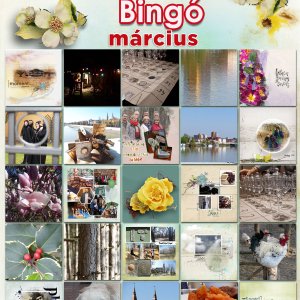 Bingo_2019.03_24-es