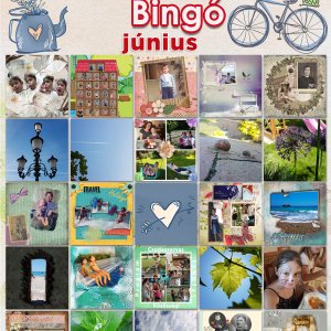 2019_junius_bingo.jpg