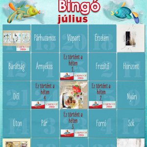 Júliusi bingo_5