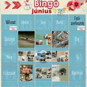 2020_junius_9es_bingo.jpg