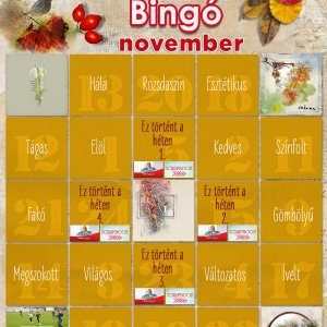 5 bingo november