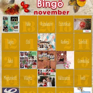 9-es novemberi bingo