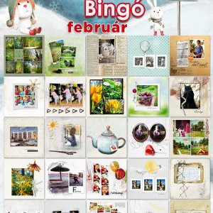 2021_februar_bingo