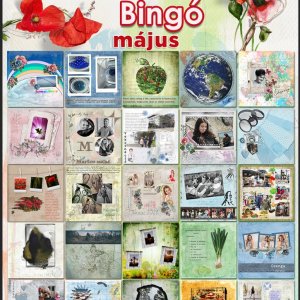 bingo_2021_05_full.jpg