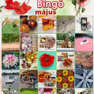 24es_bingo_2021_05_Ilonaeva
