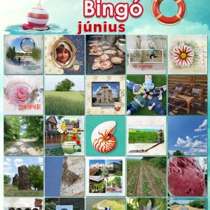 2021_junius_bingo_Ilonaeva