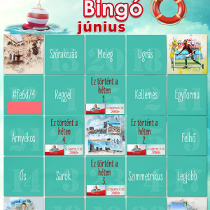 Júniusi bingó (5)