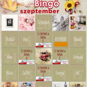 Szeptemberi bingó (9)