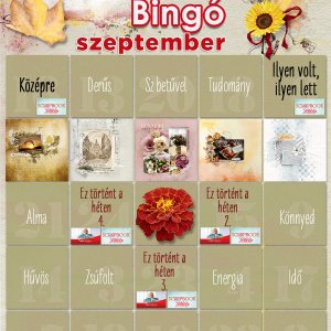 Szeptemberi bingó (5)