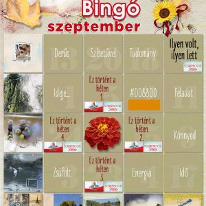szeptemberi bingó - 9