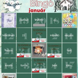 Januári bingo - 5