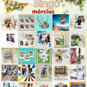 2022_marcius_bingo