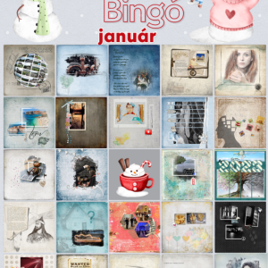 bingo_2023_januar.png