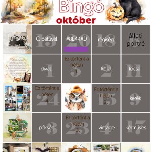 bingo 9-es