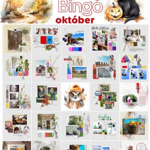2023-oktober-bingo