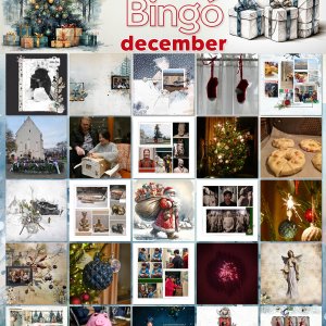 2023-december-bingo-24