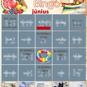 bingo-5