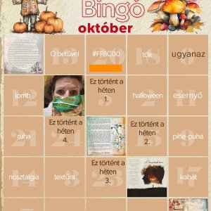 bingo 5