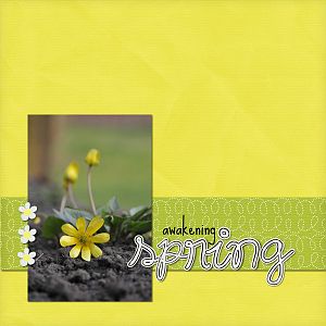 Awakening Spring