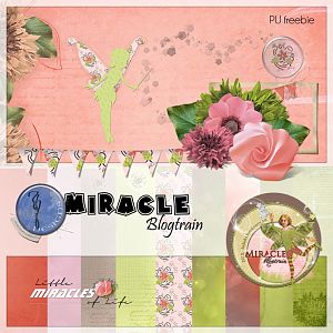 Bjud_Miracle