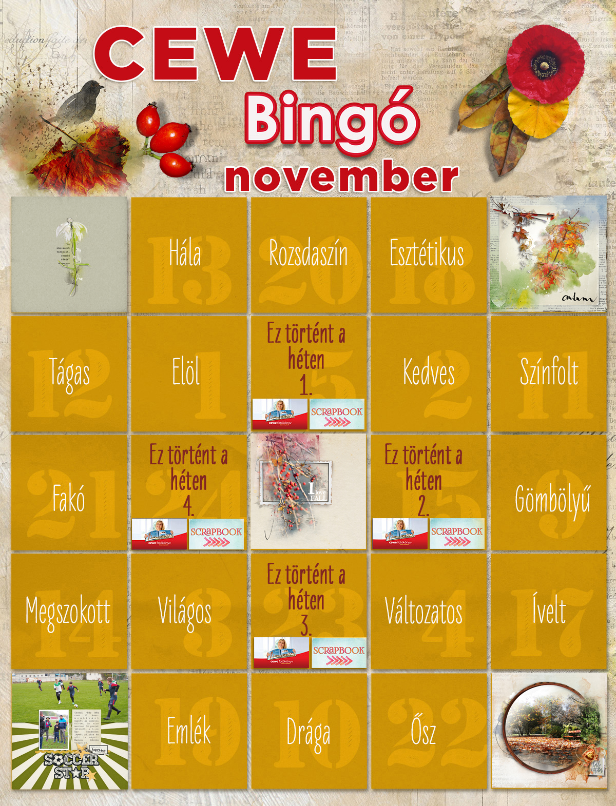 5 bingo november