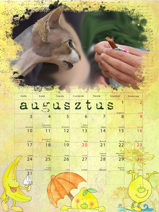 Augusztusi naptár