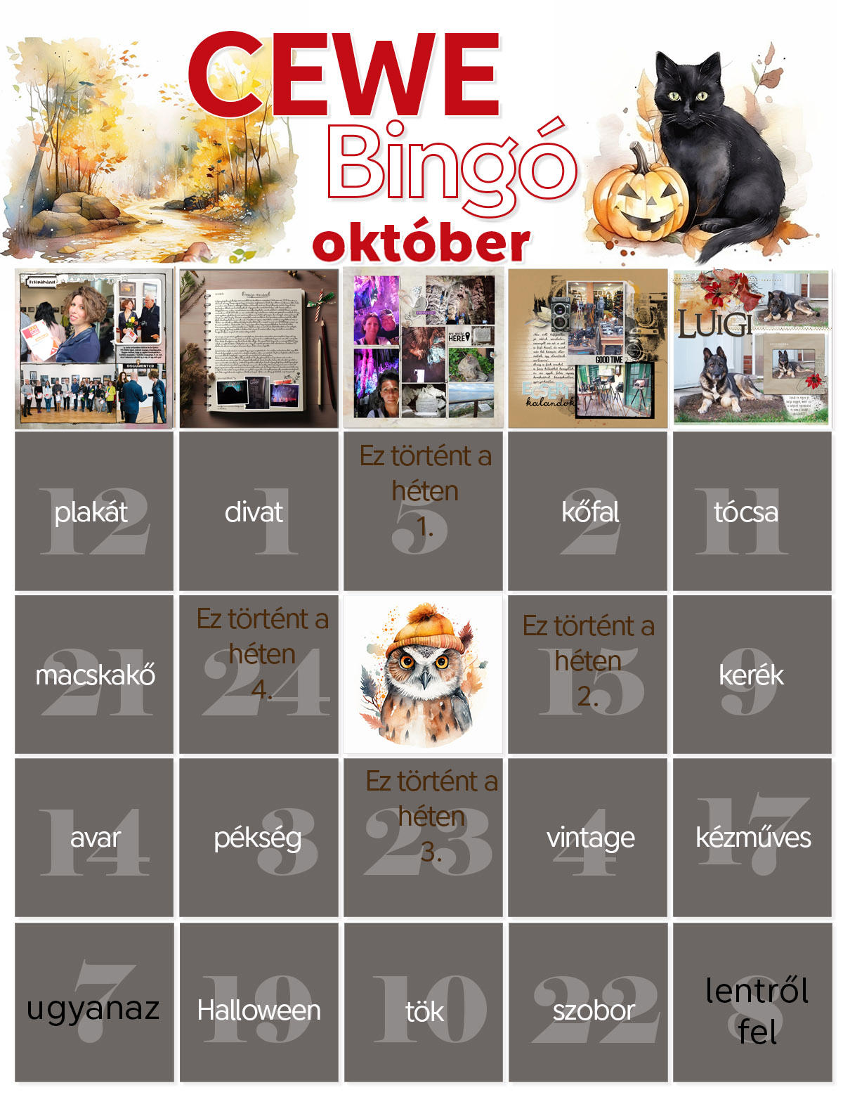 bingo 5