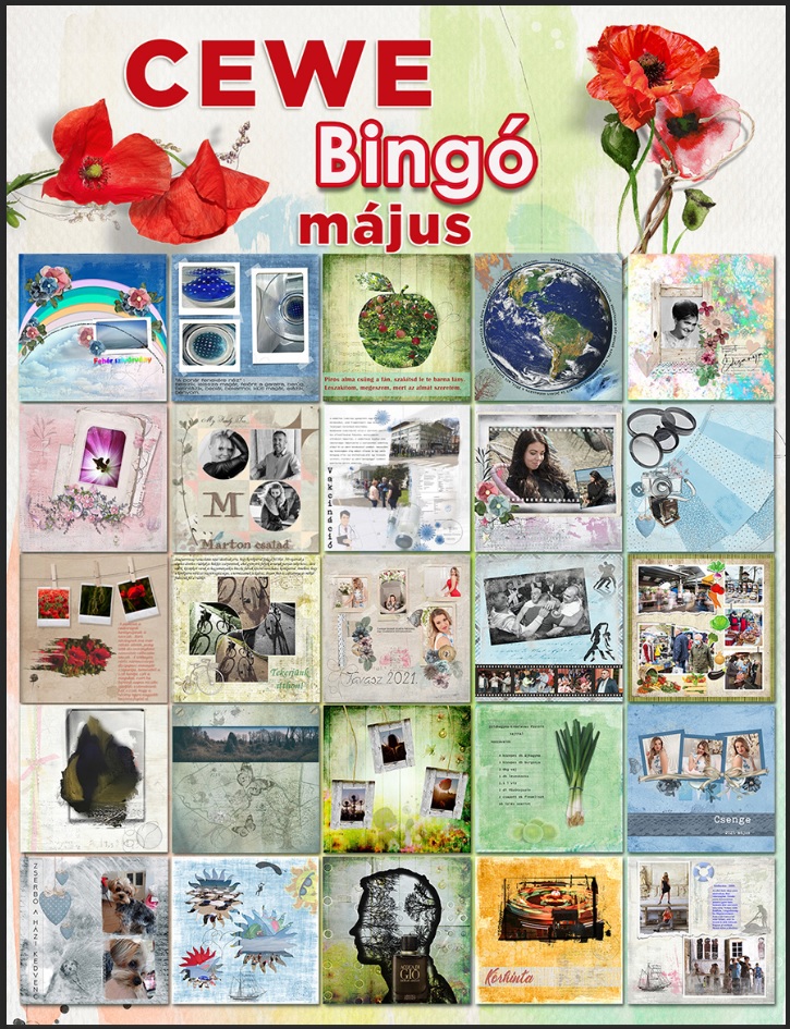 bingo_2021_05_full.jpg