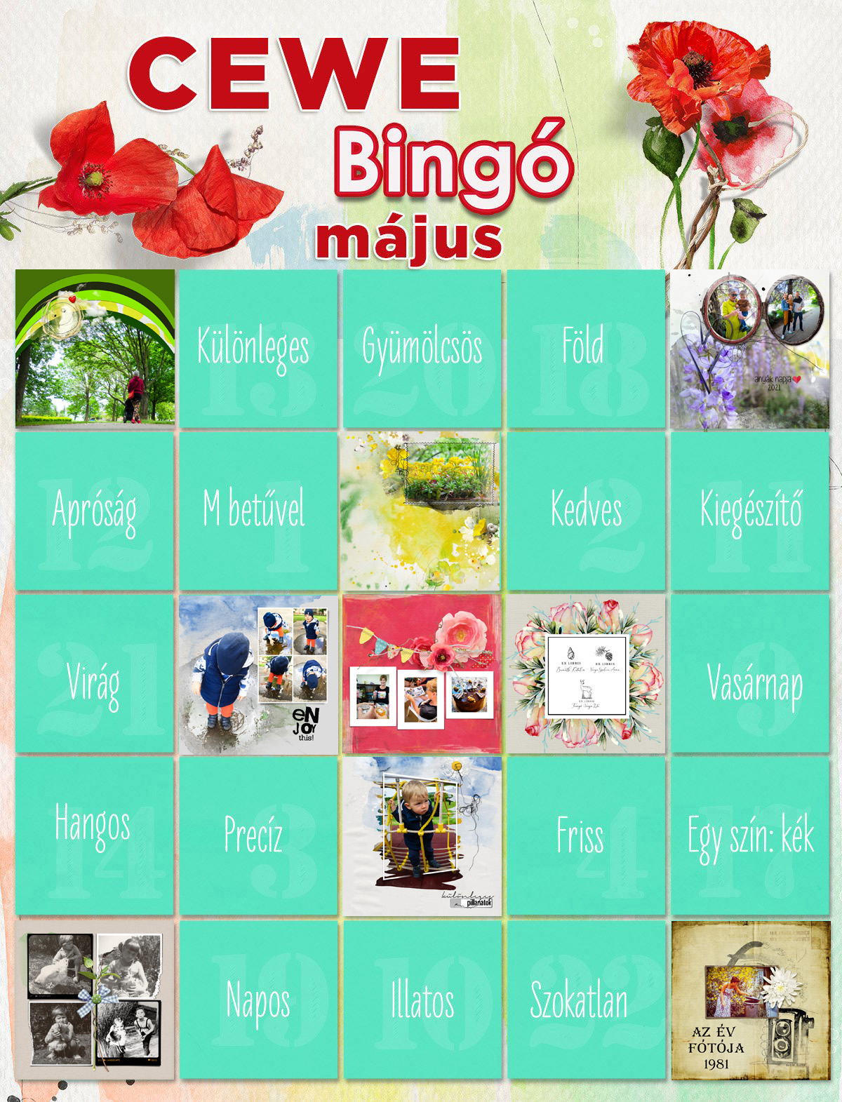 bingo_9-es