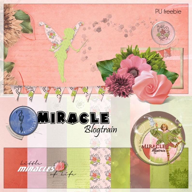 Bjud_Miracle