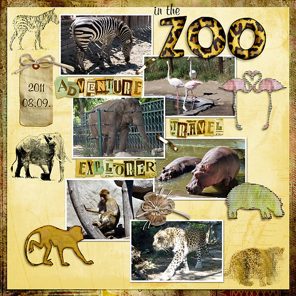 in_the_zoo