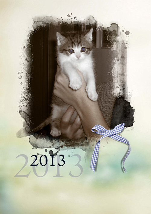 Macska-naptár 2013