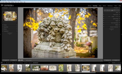 Lightroom 4 Develop