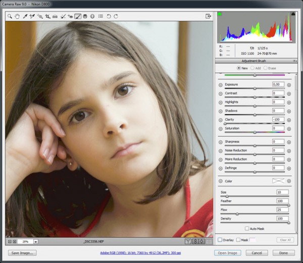 Camera Raw Adjustment Brush Haladó CEWE FOTÓKÖNYV