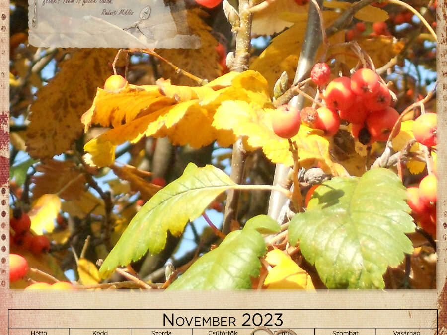 CEWE-Bingó – 2022. november – naptár 2023