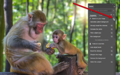 Photoshop 2025 – új Action panel