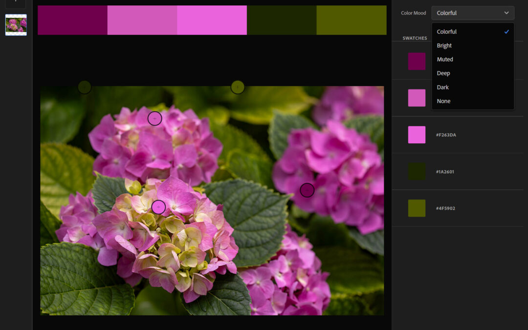 Photoshop Libraries panel – Extract from Image